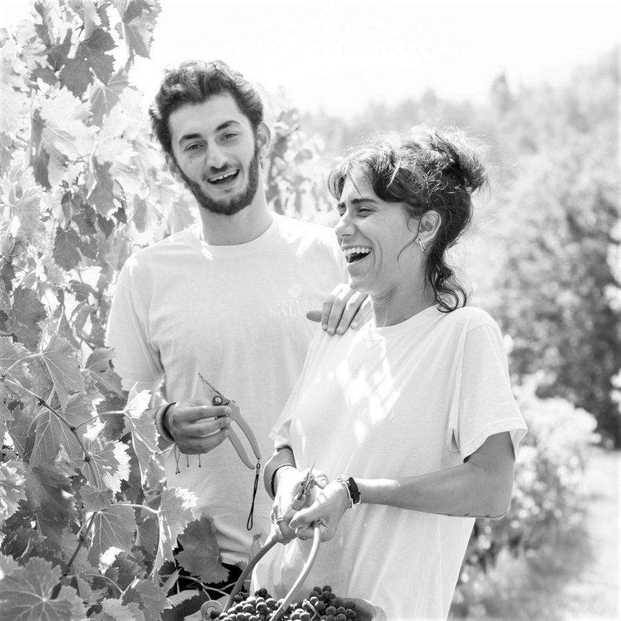 Tenuta Saiano portrait