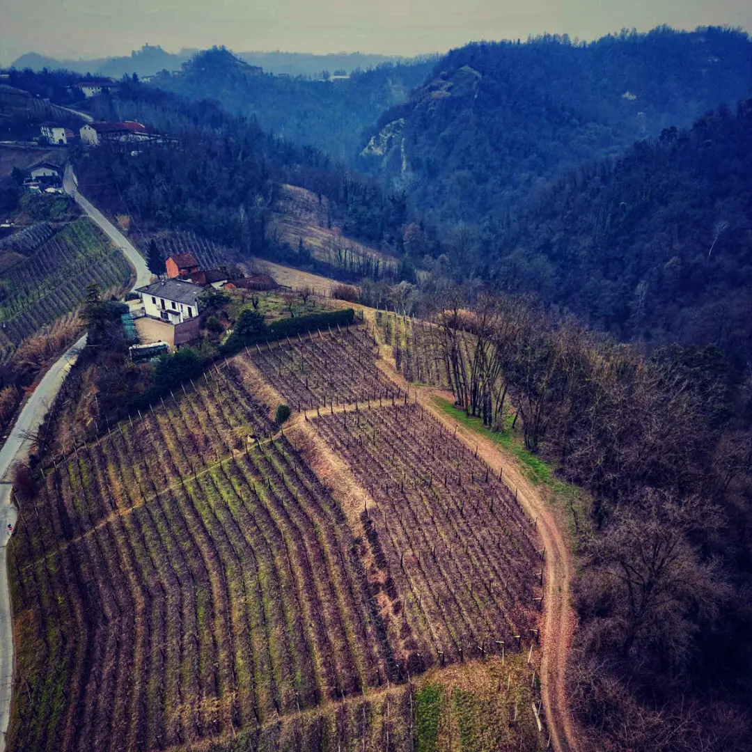 Cascina Fornace focus