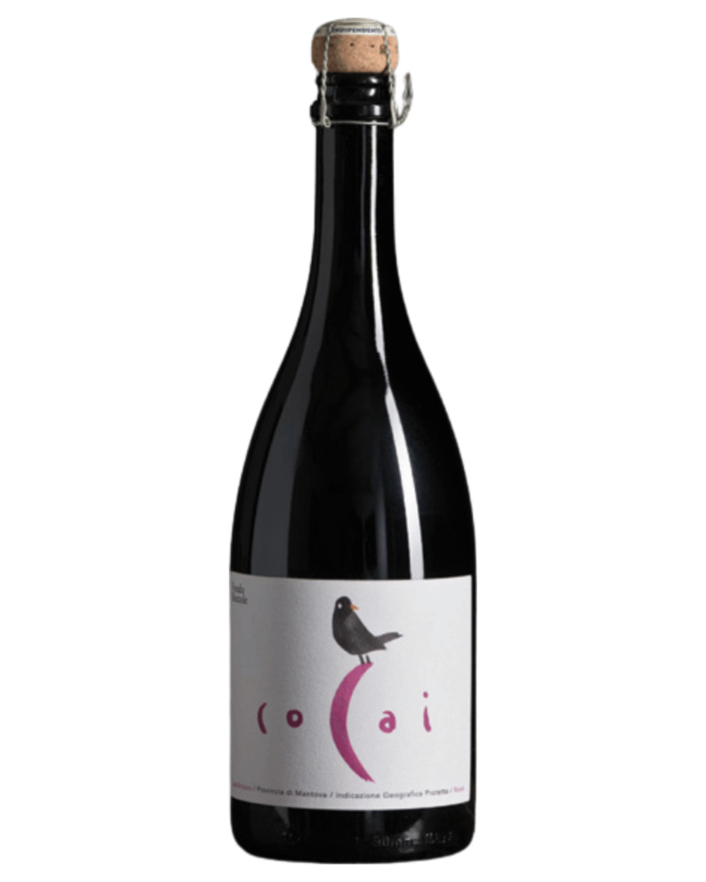 Cocai