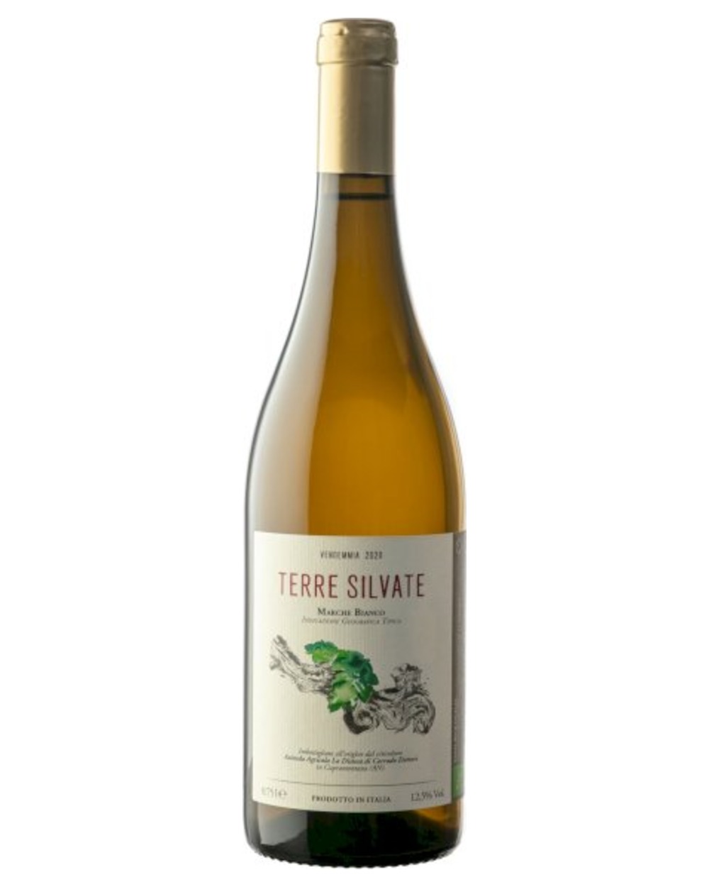 Terre Silvate
